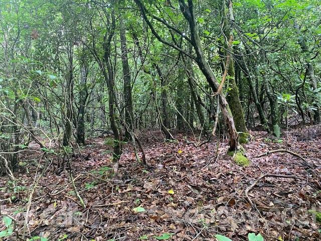 Property image 2 at L2 Wilson Drive, Brevard, NC 28712