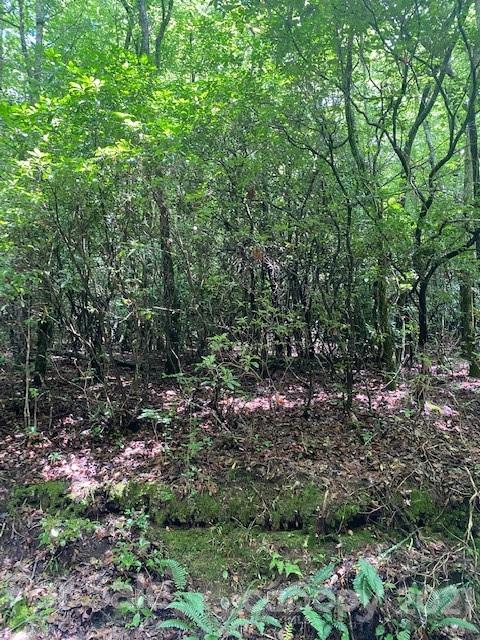 Property image 4 at L2 Wilson Drive, Brevard, NC 28712