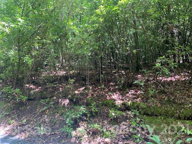 Property image 5 at L2 Wilson Drive, Brevard, NC 28712