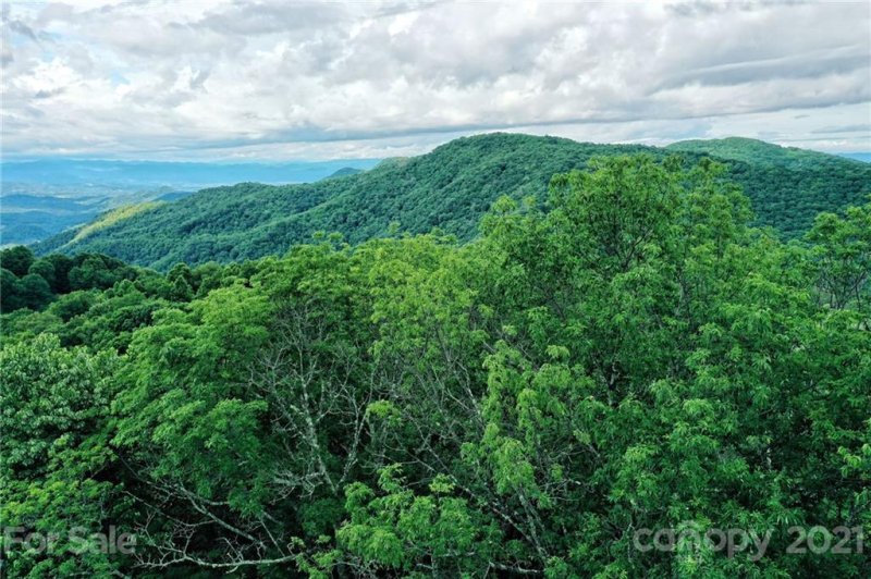 Property image 3 at 222 Windswept Ridge Road, Canton, NC 28716