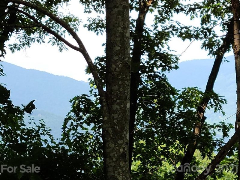 Property image 3 at 266 Mountain Laurel Road, Maggie Valley, NC 28751