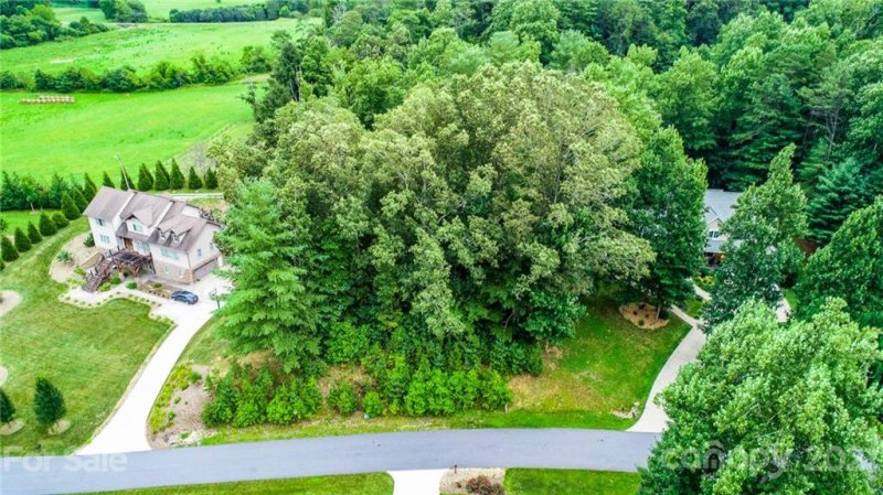 Property image 4 at 99999 Sovereign Lane, Fairview, NC 28730