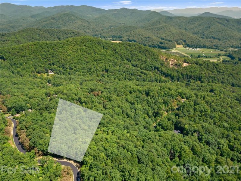 Property image 2 at 1126 Mills River Way, Horse Shoe, NC 28742