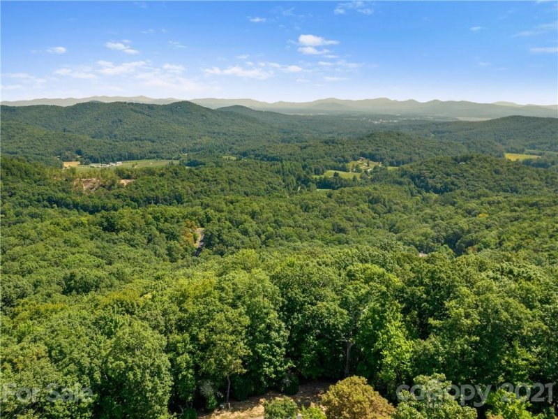 Property image 3 at 1126 Mills River Way, Horse Shoe, NC 28742