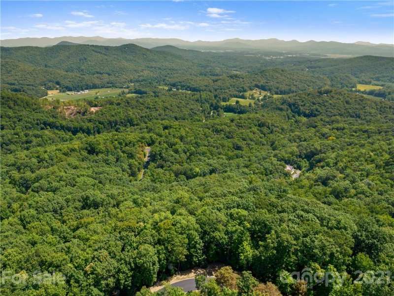 Property image 4 at 1126 Mills River Way, Horse Shoe, NC 28742