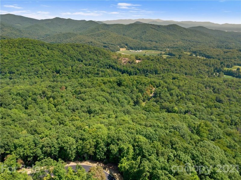 Property image 5 at 1126 Mills River Way, Horse Shoe, NC 28742