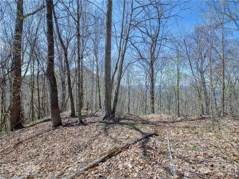 Property image 2 at 770 Spring Valley Drive, Waynesville, NC 28786