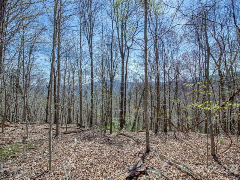 Property image 3 at 770 Spring Valley Drive, Waynesville, NC 28786