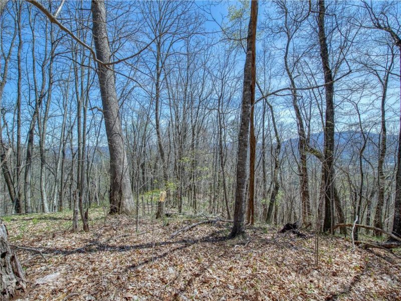 Property image 4 at 770 Spring Valley Drive, Waynesville, NC 28786