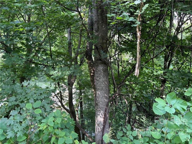 Property image 4 at Lot 30 Kings Ridge Road, Maggie Valley, NC 28751