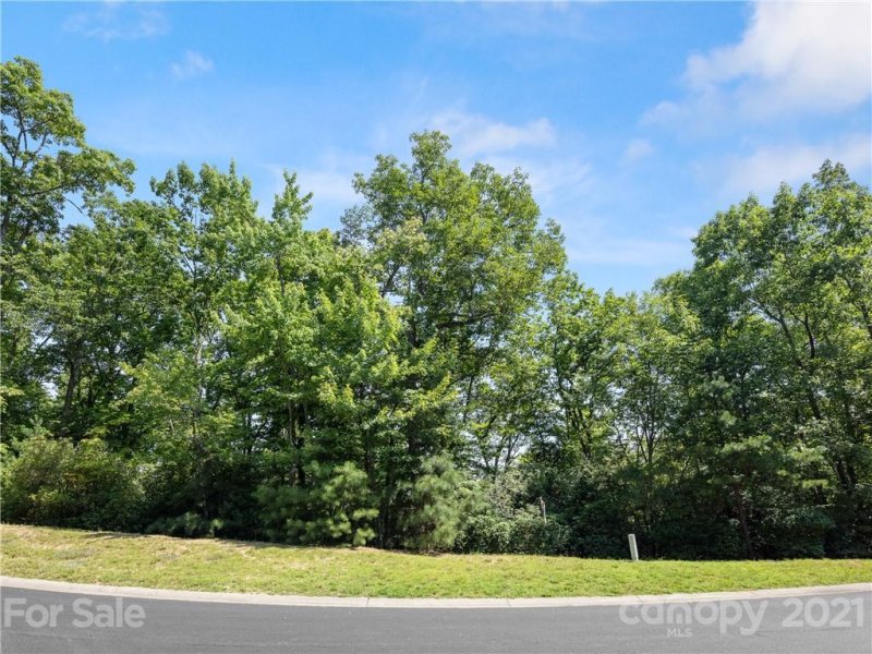 Homestead at Mills River, Mills River Community