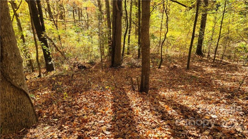 Property image 3 at Lot 15 Mountain Watch Drive, Waynesville, NC 28785