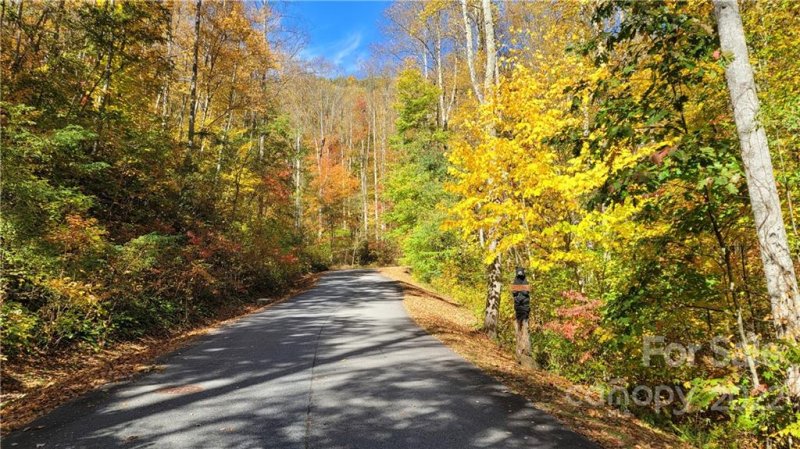 Property image 4 at Lot 15 Mountain Watch Drive, Waynesville, NC 28785