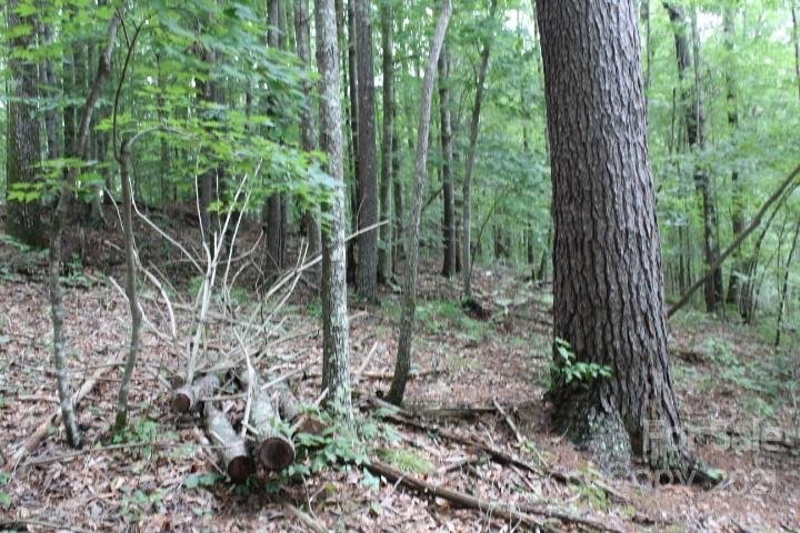 Property image 3 at 151 Glass Water Point, Valdese, NC 28690