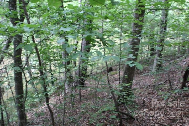 Property image 4 at 151 Glass Water Point, Valdese, NC 28690