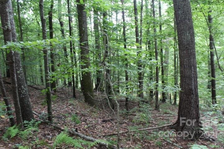 Property image 5 at 151 Glass Water Point, Valdese, NC 28690