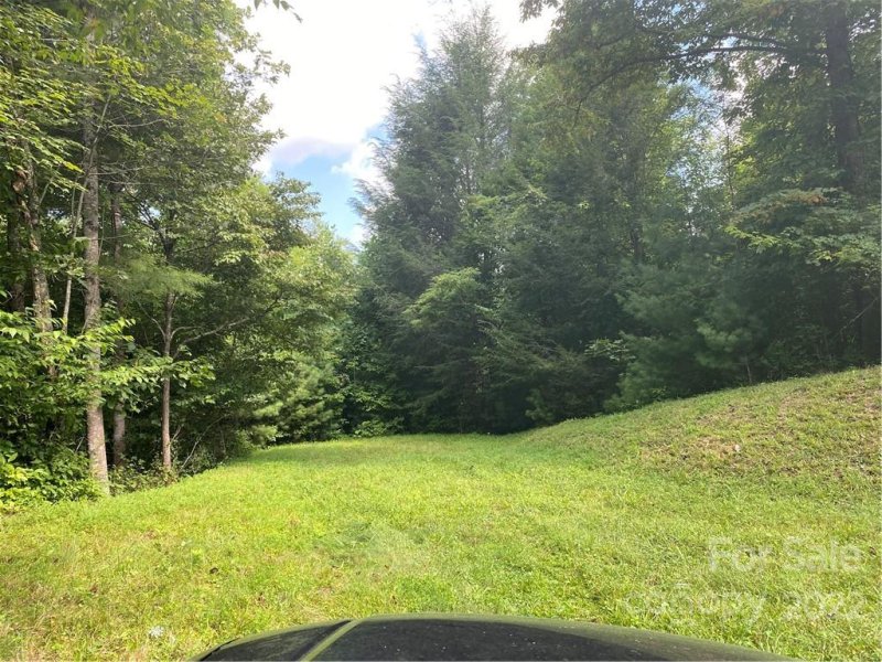 Property image 3 at 110 Laurel Heights, Marshall, NC 28753