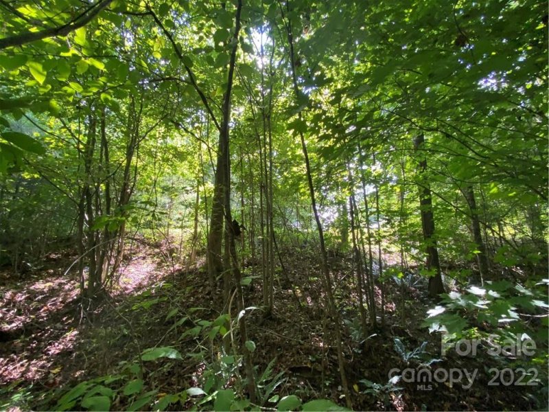 Property image 4 at 110 Laurel Heights, Marshall, NC 28753