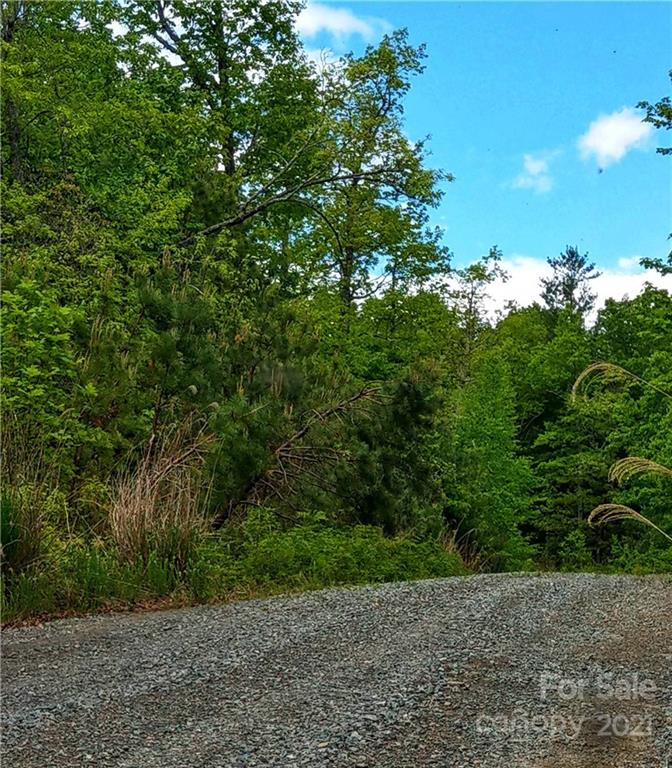 Property image 2 at 000 Emma Bri Lane, Hendersonville, NC 28739