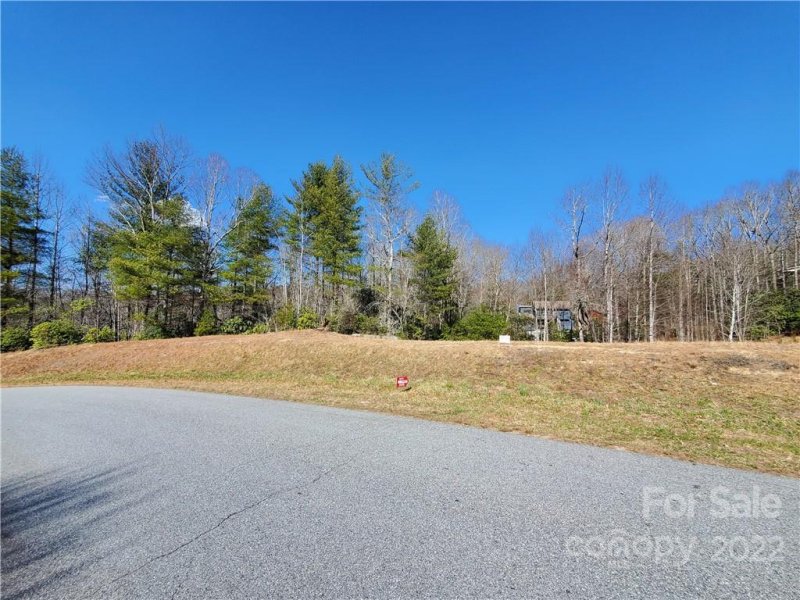 Property image 3 at 24 Crystal Heights Drive, Hendersonville, NC 28739