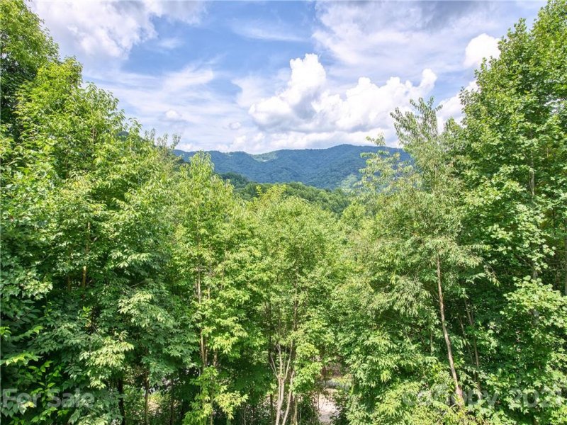 Property image 3 at 432 Appaloosa Trail, Waynesville, NC 28785