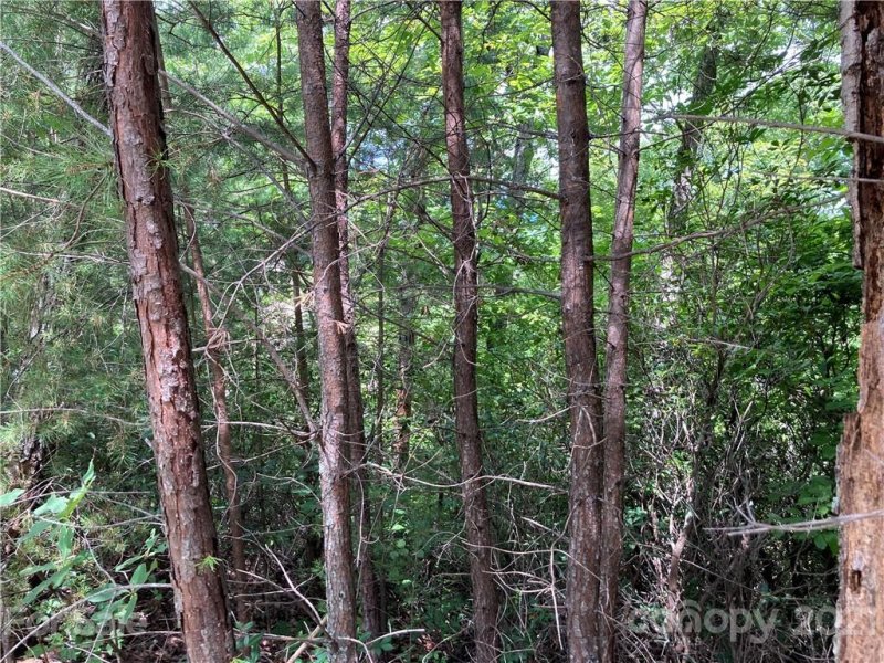 Property image 4 at Lot 6 Eagles Crest Way, Lake Lure, NC 28746