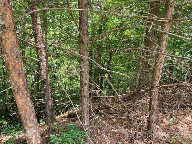 Property image 5 at Lot 6 Eagles Crest Way, Lake Lure, NC 28746