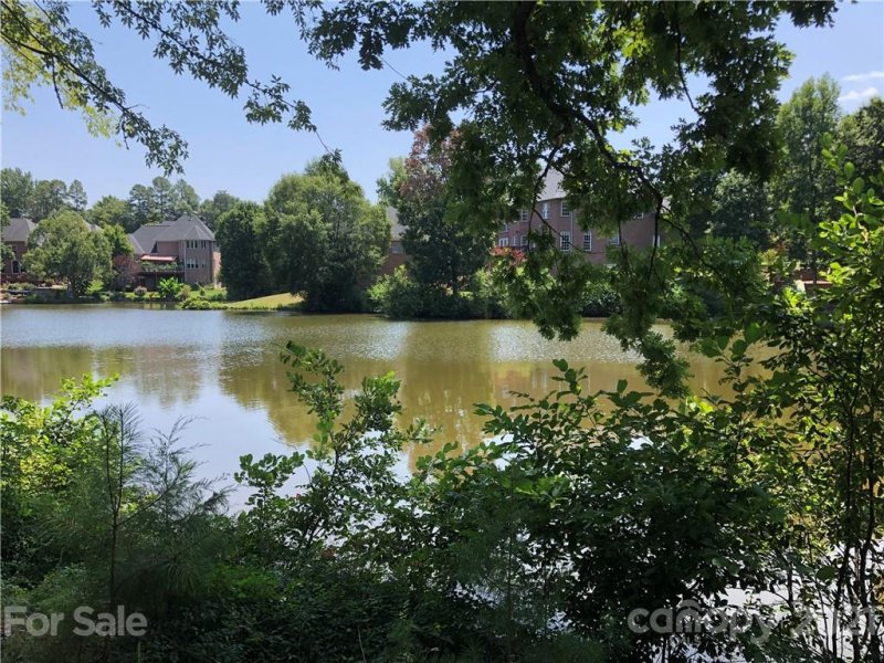 Property image 3 at 1333 Clifflure Lane, Fort Mill, SC 29708