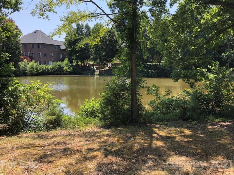 Property image 4 at 1333 Clifflure Lane, Fort Mill, SC 29708