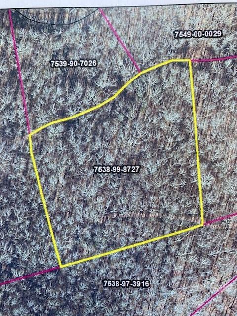 Vl 54 Mountain Forest Estates Road