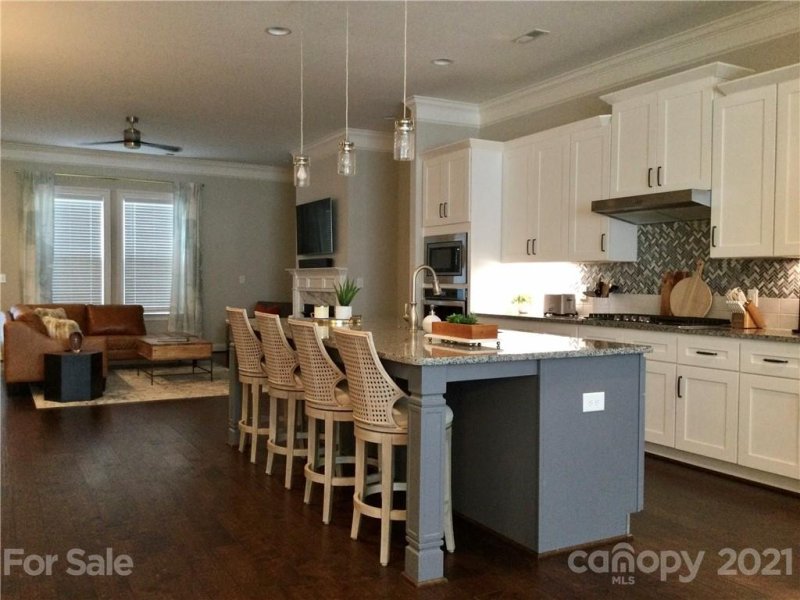 Property image 4 at 15129 Rocky Bluff Loop, Davidson, NC 28036