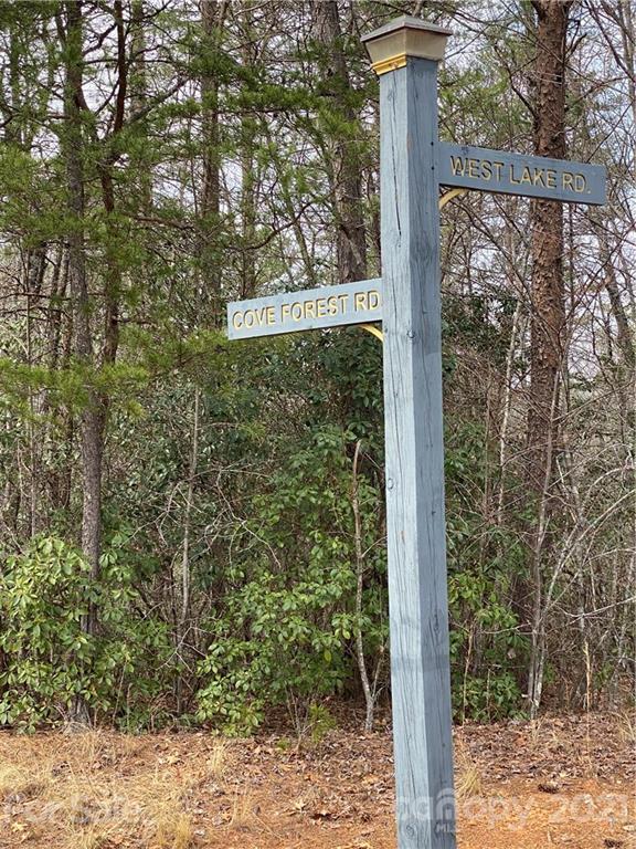 Property image 2 at Lot 38 Cove Forest Road, Marion, NC 28752