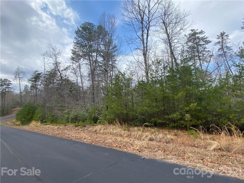Property image 5 at Lot 38 Cove Forest Road, Marion, NC 28752