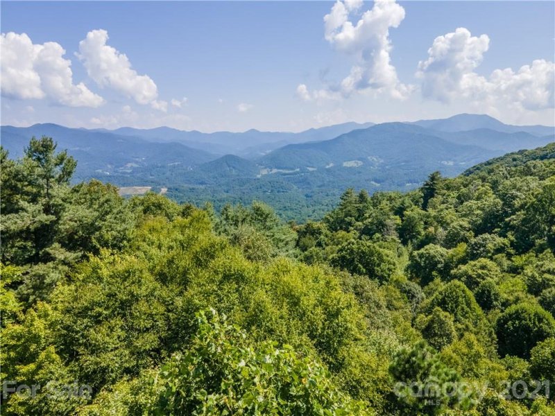 111 Digging Seng Trail