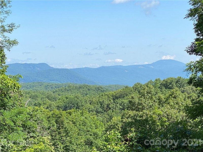 Property image 2 at 225 Bobcat Trail, Saluda, NC 28773