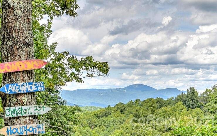 Property image 3 at 225 Bobcat Trail, Saluda, NC 28773