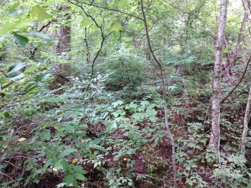 Property image 3 at 926 Seven Glens Drive, Weaverville, NC 28787