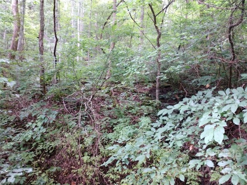 Property image 5 at 926 Seven Glens Drive, Weaverville, NC 28787