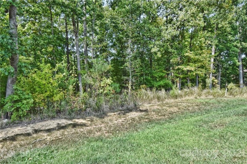 Property image 3 at 7340 Barrington Ridge Drive, Fort Mill, SC 29707