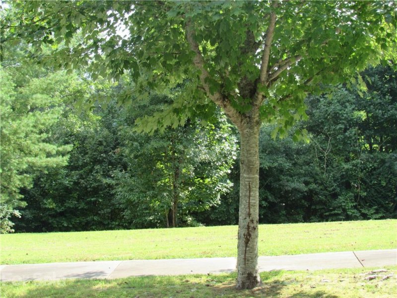 Property image 2 at 9 Cadence Circle, Brevard, NC 28712