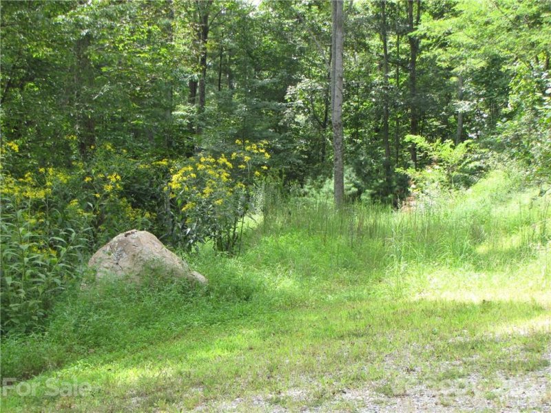 Property image 3 at 223 Maddie Way, Mars Hill, NC 28754