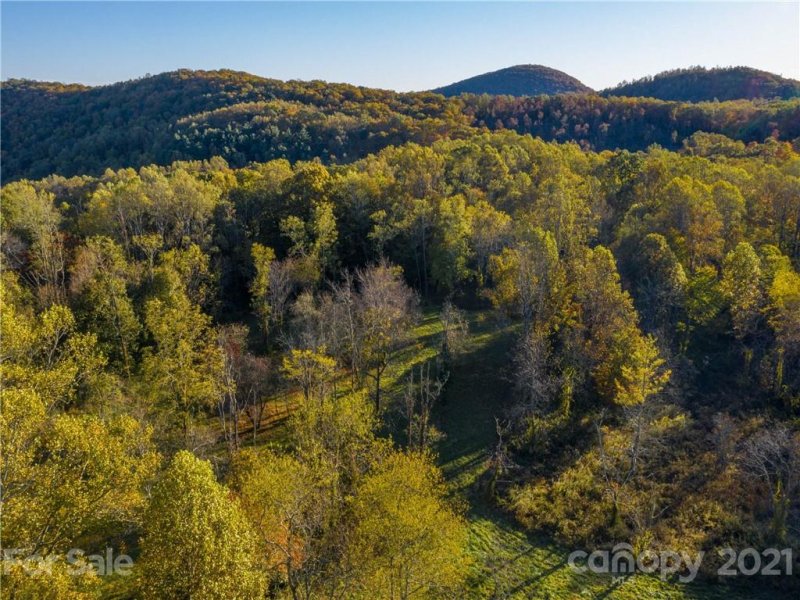 Property image 4 at 0 Dancing Bear Drive, Hendersonville, NC 28792