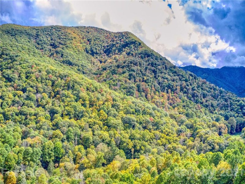 Property image 2 at 173 Serenity Cove, Maggie Valley, NC 28751