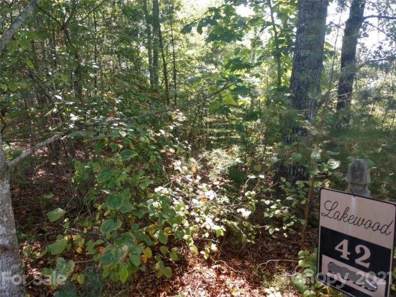 Property image 2 at 00 Bald Eagle Lane, Marion, NC 28752