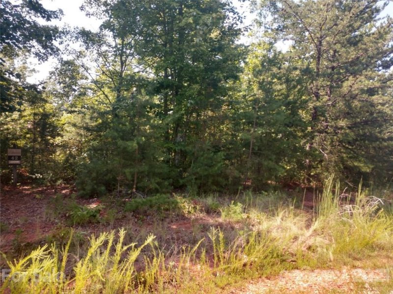 Property image 5 at 00 Bald Eagle Lane, Marion, NC 28752