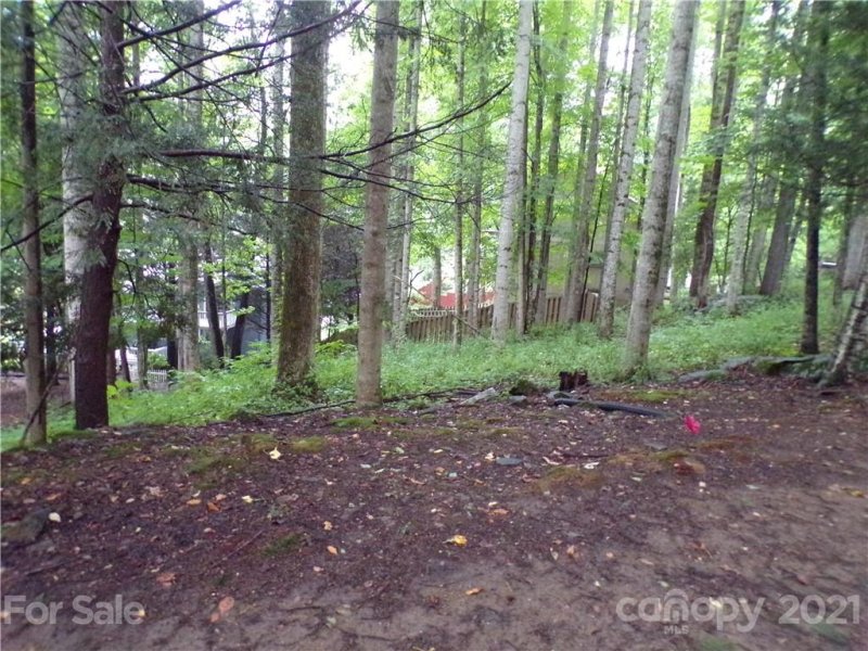 Property image 3 at 5 Serene Trail, Maggie Valley, NC 28751