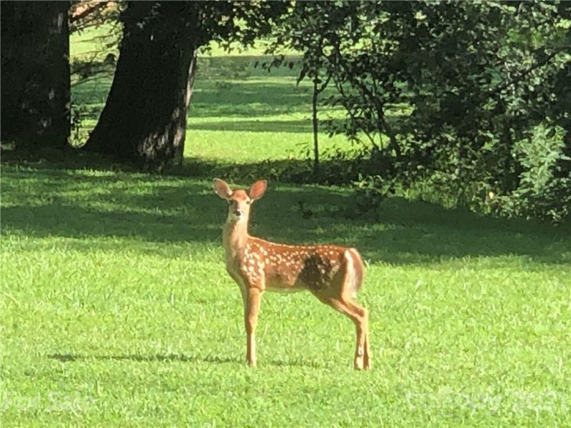 Property image 3 at 162 Hilltop Court, Lake Lure, NC 28746