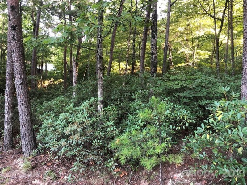 Property image 5 at 162 Hilltop Court, Lake Lure, NC 28746