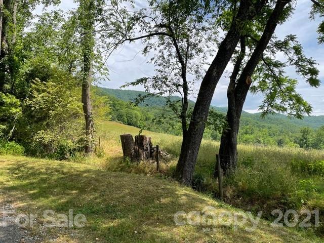 Property image 2 at 000 Twisted Birch Drive, Hendersonville, NC 28792