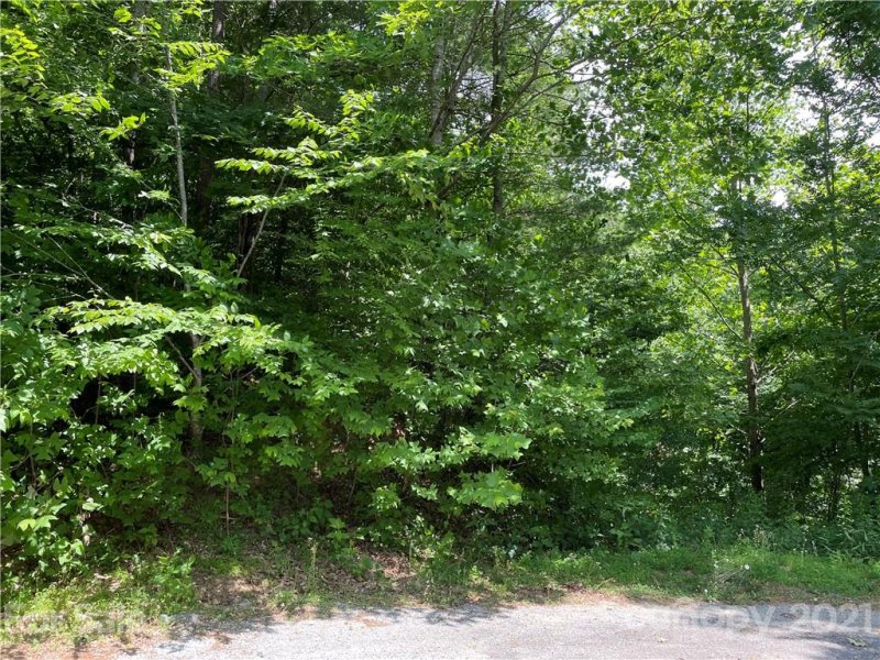 Property image 5 at 000 Twisted Birch Drive, Hendersonville, NC 28792